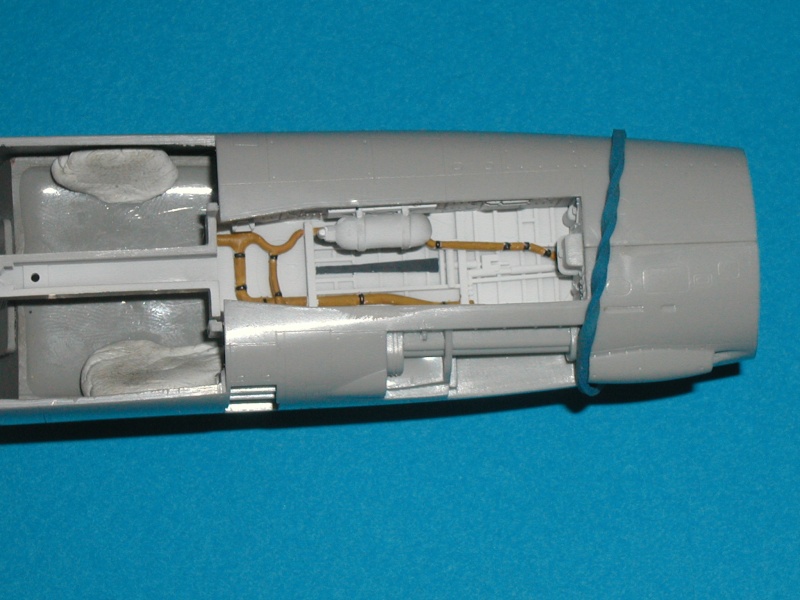 [HASEGAWA] F14B Tomcat RED RIPPERS 1/48 - Page 2 P1010189