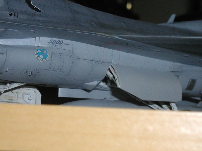 F16C Fighting Falcon [Tamiya] 1/48  - Page 3 P1010193