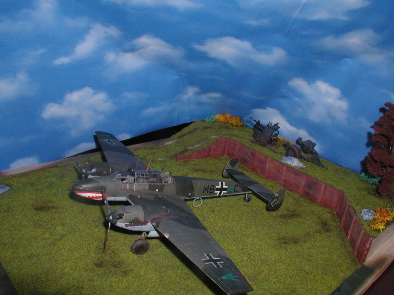 Diorama BF 110 au 1.48 - Page 2 P1010261