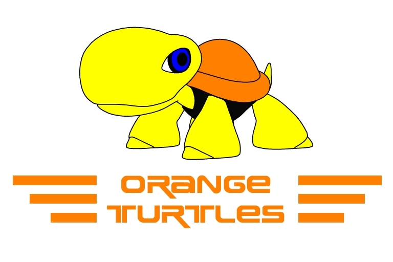 Orange turtle Tortue10