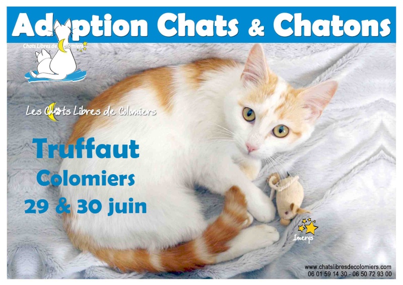 week-end adoptions 29 et 30 Juin à Truffaut Colomiers Affich12