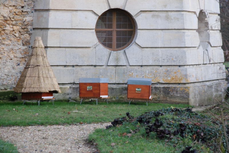 Des abeilles au Hameau de la Reine - Page 2 Dsc_2210