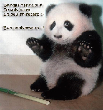 Joyeux Anniversaire Nini Joyeux Anniversaire Nini