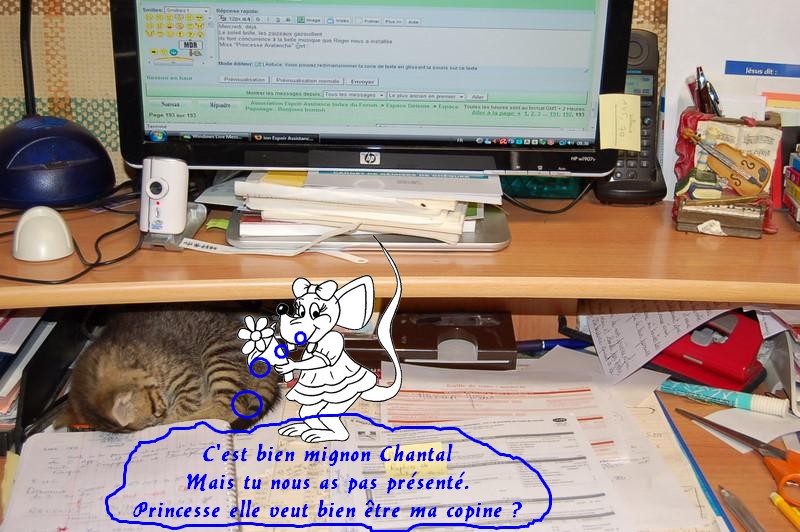 O pouvez-vous trouver les messages posts ? Prince10