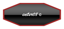 enter08 Logo 110