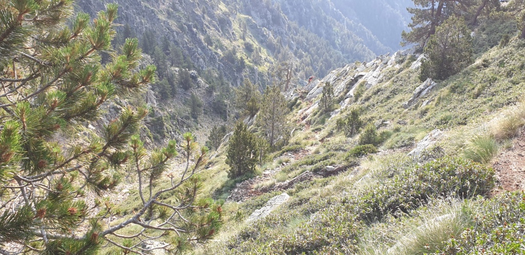 Topic:Deportes de Montaña..Escalada, Senderismo,Barranquismo....... - Página 20 20190717