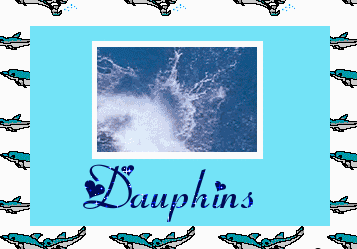 nos amis les dauphins - Page 4 28isx910