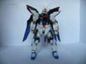 [Review] ZGMF-X20A Strike Freedom Gundam - Katsuhono - Dscf1964