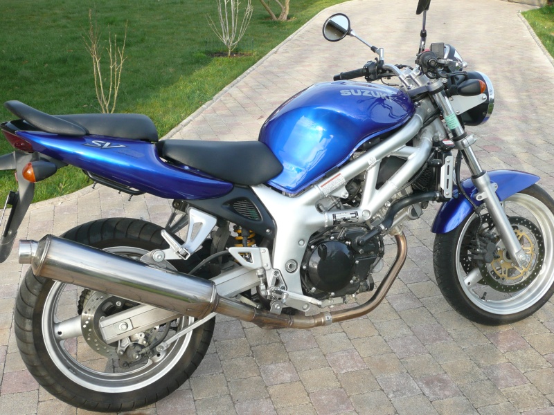 [VDS] Suzuki 650 SV N P1000310