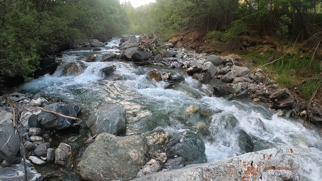 Retour dans le Queyras sur un affluent du Guil Gh011910