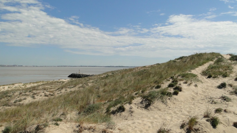 LA POINTE DU GRAVE (Gironde)  Pointe16