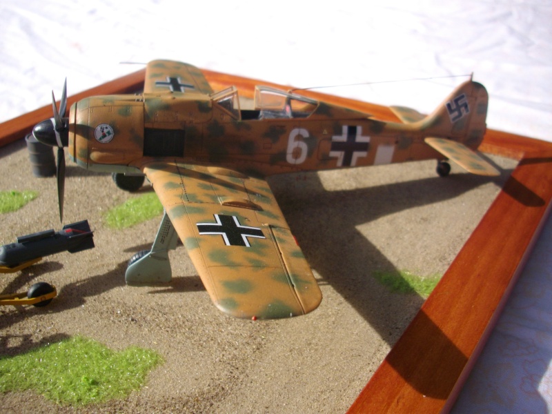 Fw 190 F8 Tamiya 1/48 Imgp0817