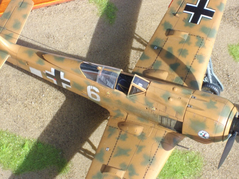 Fw 190 F8 Tamiya 1/48 Imgp0818