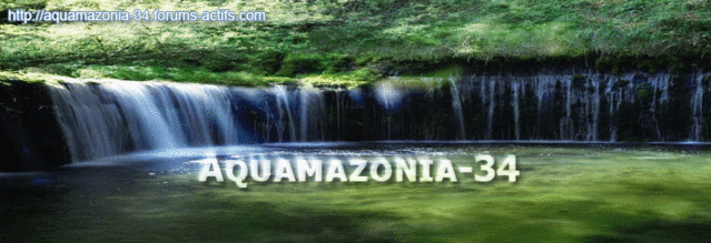 Aquamazonia Banban10