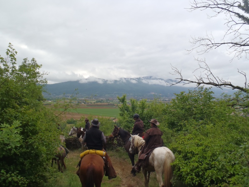 Equi’Rhône-Alpes on en revient heureuse mais... P5170411