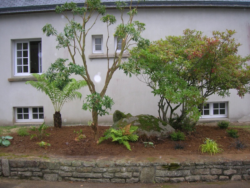 Le jardin de chez mes parents. Dscn1740