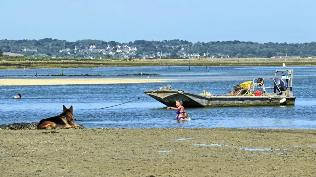 [Vie des ports] Quelques bateaux de pêche (sur nos côtes Françaises) - Page 27 42_tra10