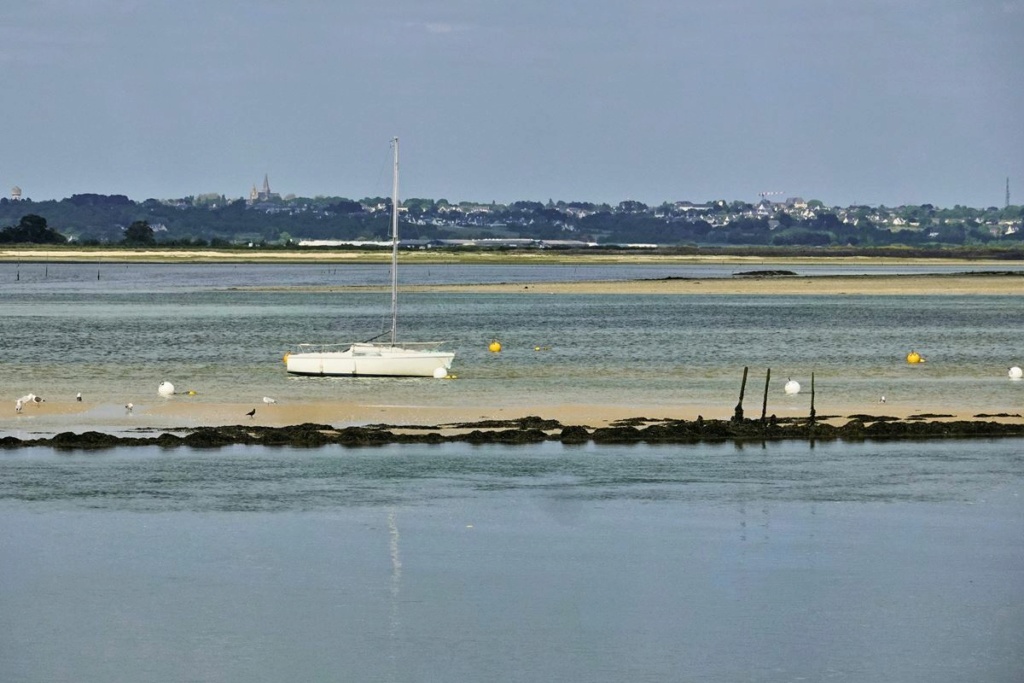 [Activité hors Marine des ports] LE CROISIC Port, Traict, Côte Sauvage... - Page 10 61_le_11