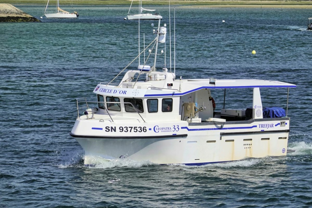 [Vie des ports] Quelques bateaux de pêche (sur nos côtes Françaises) - Page 27 I0_sor10