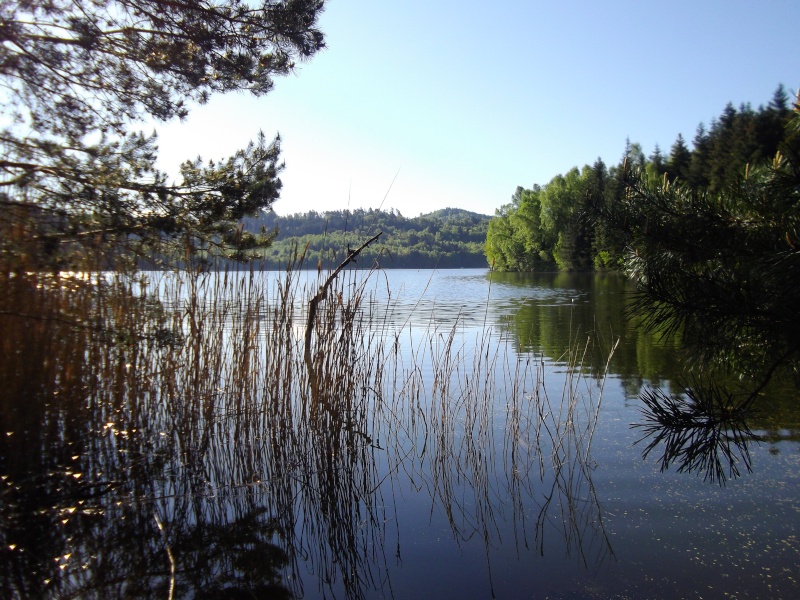 Le lac de Pierre-Percée  Imgp1111