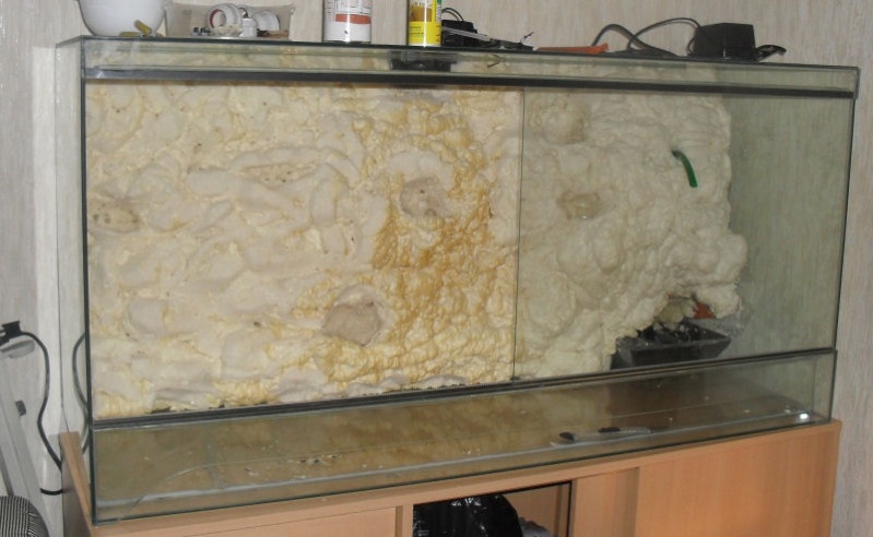 Terra-biotope /--> Projet Dendrobates/PCs Terra_10