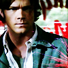 « Ho mon dieu ! Le frigo est vide ! » ▬ Sammy Icon_s13