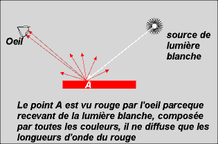 Nos Yeux nos couleurs Voir210