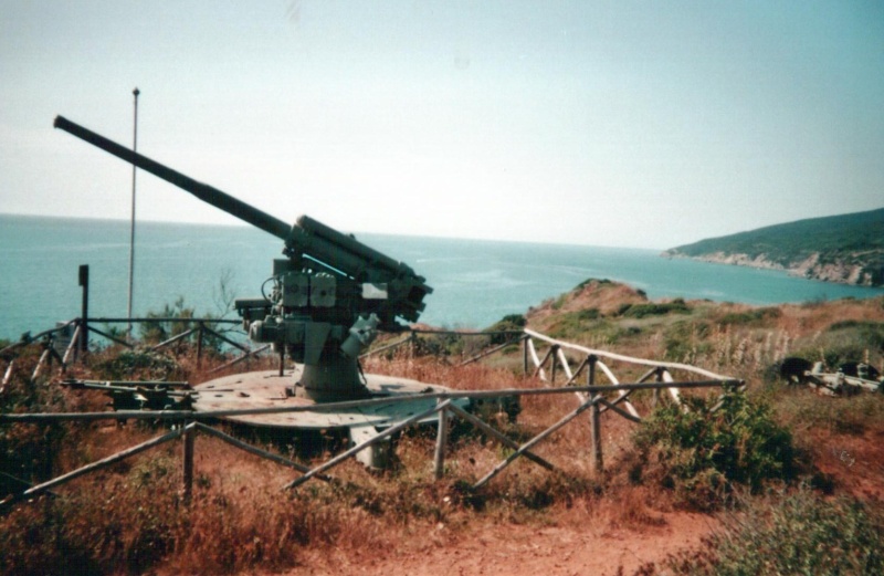 Canon Ansaldo 90/53 de Punta Falcone à Piombino 00417