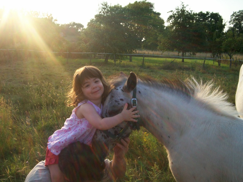 CONCOURS PHOTOS: Les chevaux et la magie... Chevau38