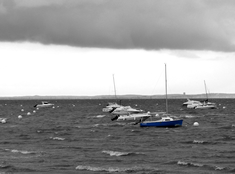 Autour du bassin d'Arcachon 111