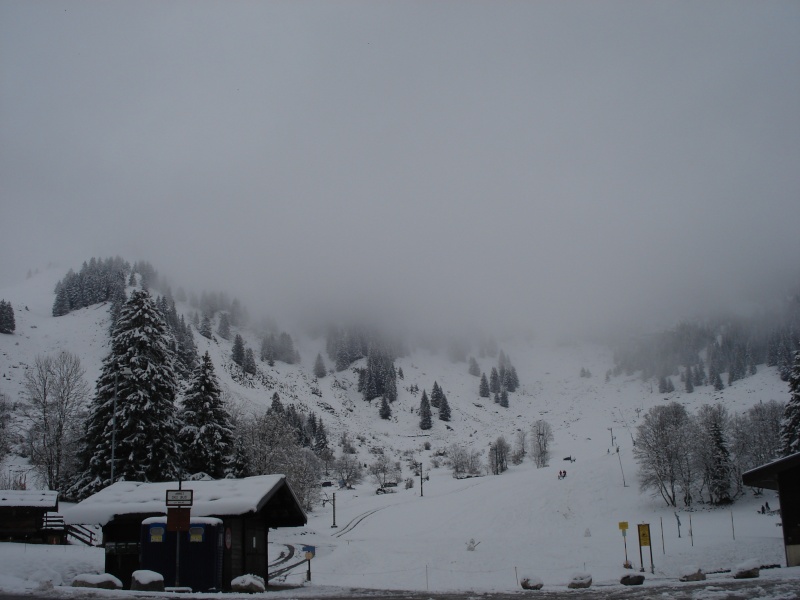 l'hiver est la, la neige arrive, bientot le ski Dsc09413