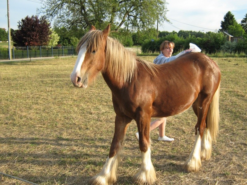 Une photo de vous et votre cheval - Page 2 Mon_am18