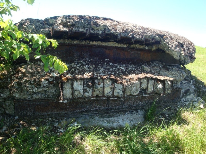 Fort de Vaux : "S'ensevelir sous les ruines du fort plutôt que de se rendre" Dsc06028