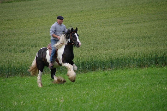 Le bonheur, c\'est simple comme un galop dans les champs ! Imgp6111