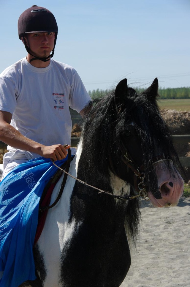 Concours GCS dans le ch'nord Imgp9320