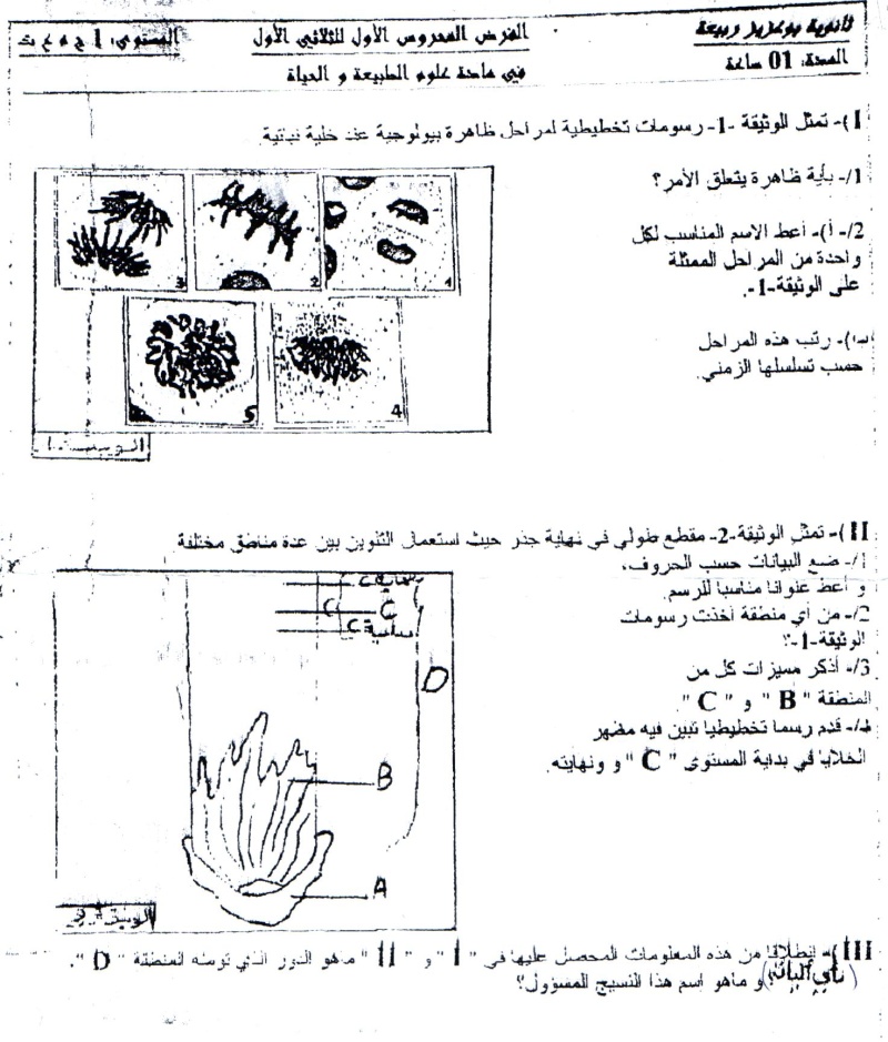 Sciences naturelles العلوم الطبيعيّة   Sujets de devoirs  Bouaziz rabiaa مواضيع الفروض Dt1a_s10