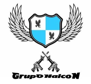 GRUPO HALCON
