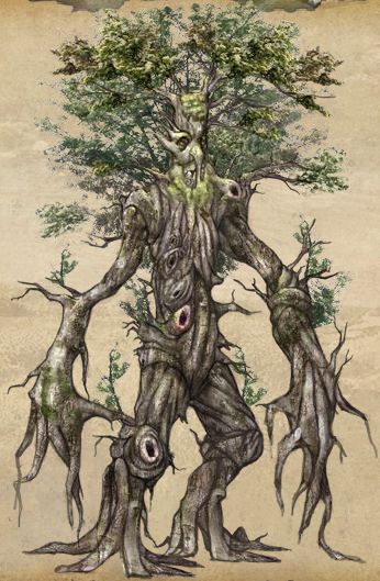 Les Ents et les Golems Consei10