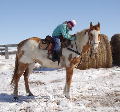 Beautiful Red Dun Overo Broodmare! Brittn10