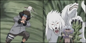  •  Clan Inuzuka  [Contrôle des chiens - Kiri] Inuzuk10