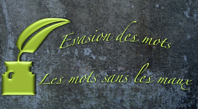 LES MOTS SANS LES MAUX