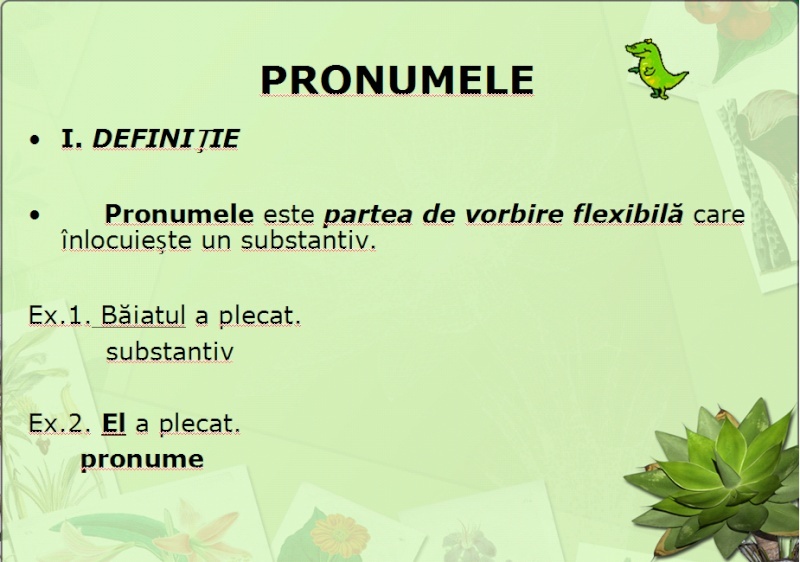 Lectia 9:Pronumele Pronum10