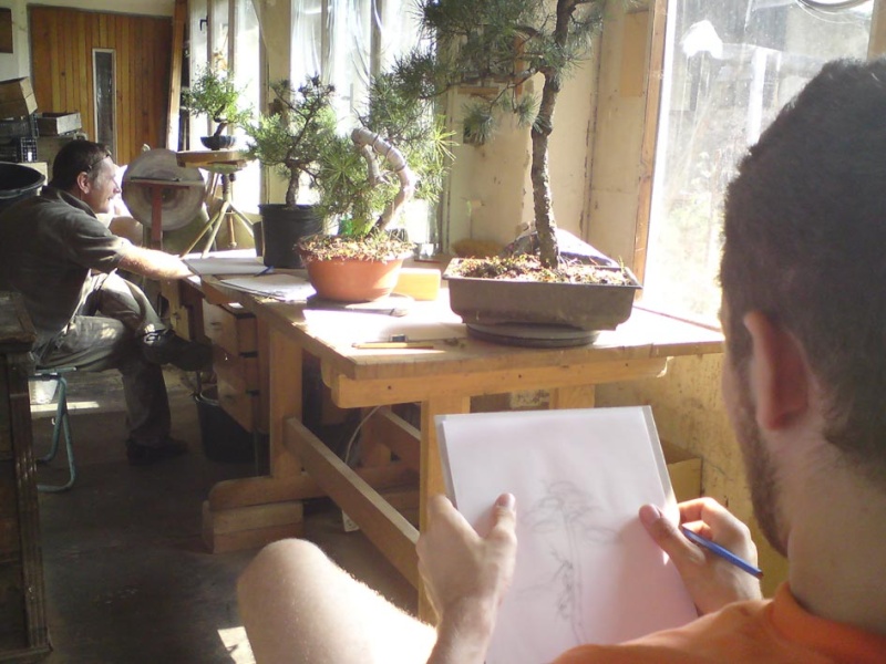 Meeting in the atelier bonsai Element - drawing... 110