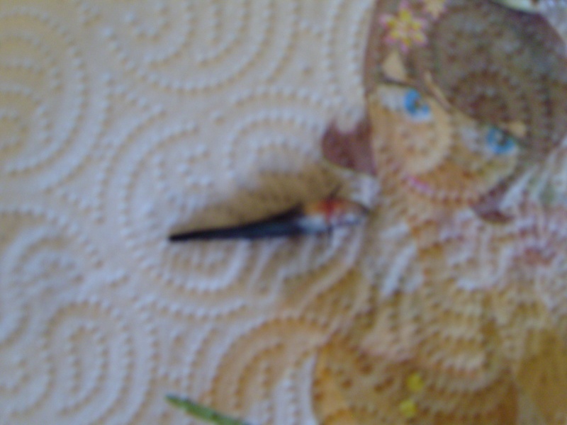 Au secours, 2 poissons mort (guppy)