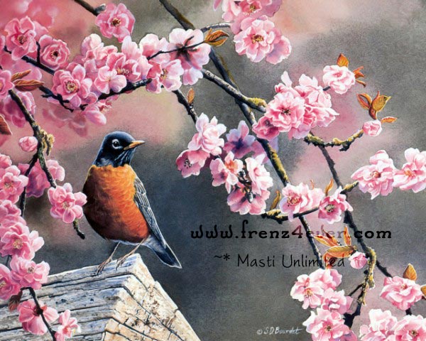 ~* Beautiful Birds paintings By Susan Bourdet *~ 134