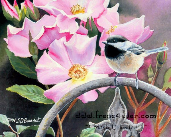 ~* Beautiful Birds paintings By Susan Bourdet *~ 532