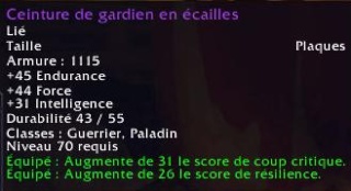 Candidature [Paladin Vindicte] Wowscr26