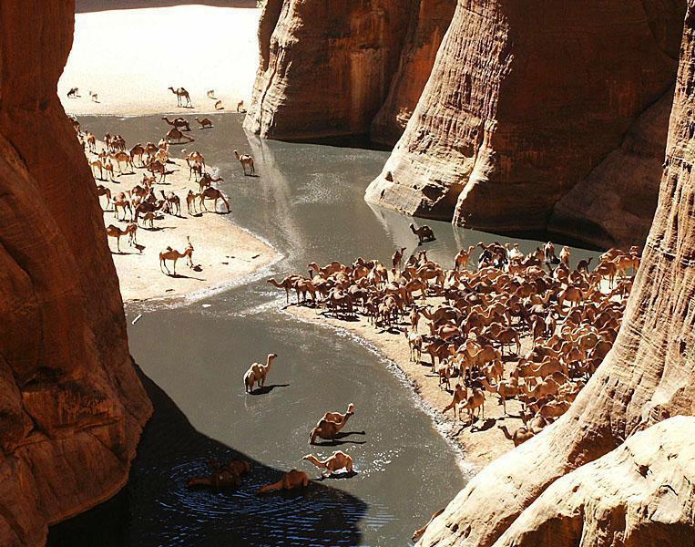 guelta d'archeï sahara Guelta11