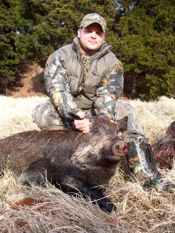 Hogs hogs hogs Bt210