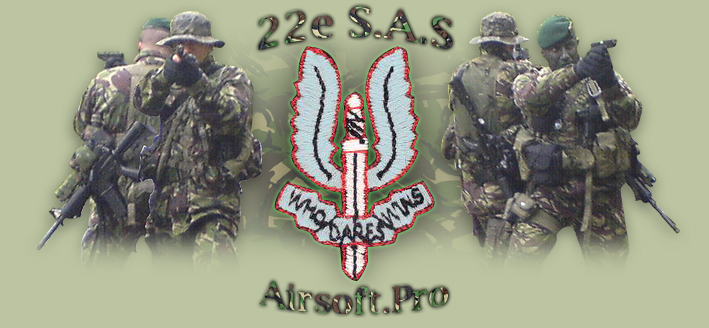 22nd SAS